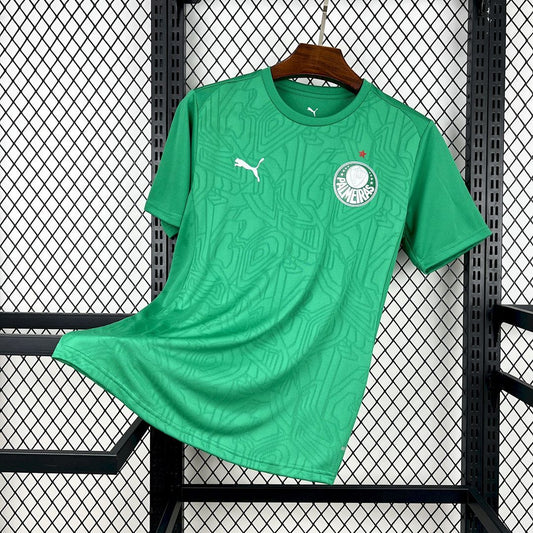 Mens Palmeiras 2025∕26 Training Jersey(FB02)