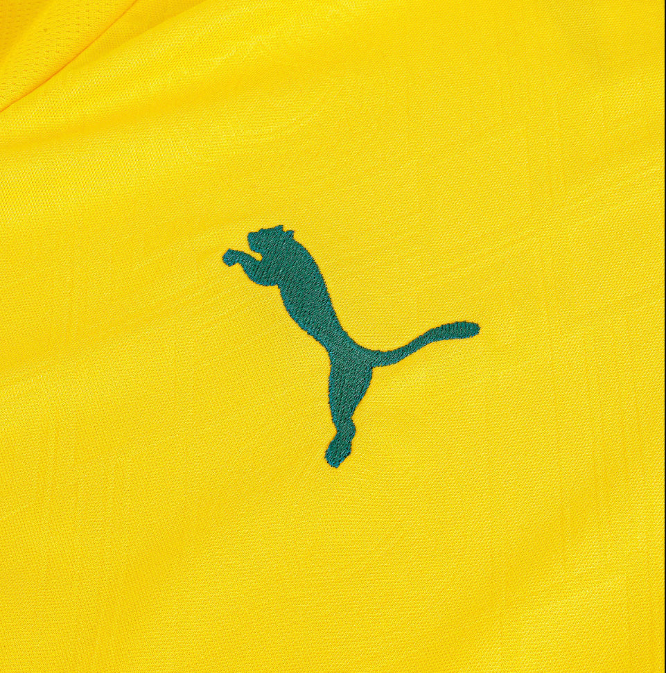 Camisa do Palmeiras III 25/26 Torcedor Puma Masculina